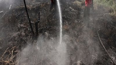 إعلان حالة الطوارئ بإندونيسيا بسبب حرائق الغابات 