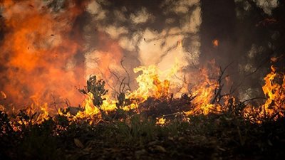 شاهد.. تحطم طائرة برمائية أثناء إخمادها للنار في فرنسا  