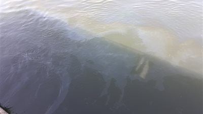 رغم رصد الفجر بالصور.. 