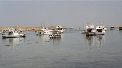 ارتفاع حصيلة قتلى انقلاب العبارات في الفلبين إلى 31