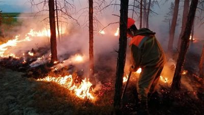 روسيا تحدد السبب الرئيسي للحرائق في سيبيريا