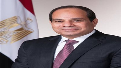 السيسي: الإعلام نشر تصريحاتي عن احتياجنا لـ