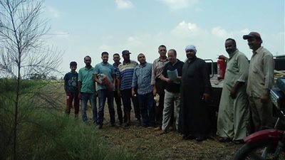 جهاز شئون البيئة يعاين 16 موقع لتجميع قش الأرز في كفر الشيخ 