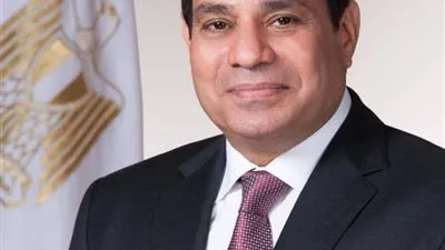 محافظ الغربية يهنئ الرئيس بمناسبة عيد الأضحى المبارك 