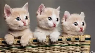 في اليوم العالمي لها.. 20 معلومة لا تعرفها عن 