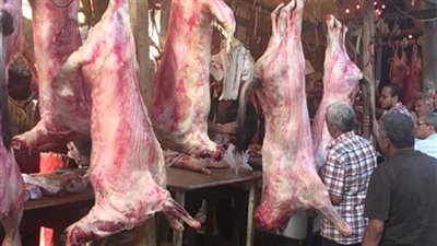 9 نصائح يجب اتباعها عند شراء لحمة عيد الأضحى