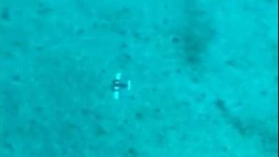 حدث فريد من نوعه.. نجاة ركاب طائرة بعد سقوطها في المحيط