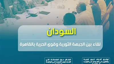 السودان.. لقاء بين الجبهة الثورية وقوى الحرية بالقاهرة