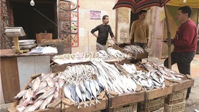 أسعار الأسماك تنافس اللحوم في عيد الأضحى المبارك