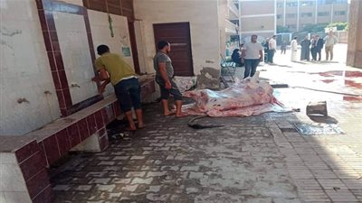 مواطن يذبح عجلا داخل مدرسة في بنها.. وتحويل مديرها للتحقيق