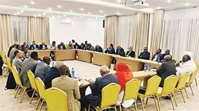 القاهرة على خط 