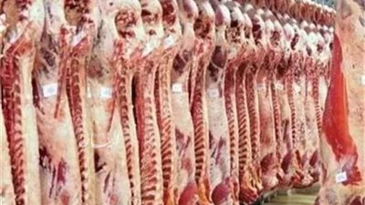 رئيس مصلحة الكمياء إنتاج 13 ألف لتر من الحبر السري لختم اللحوم بالمجازر