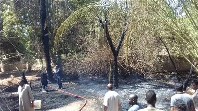 عاجل.. حريق هائل بنصر النوبة.. والعناية الآلية تنقذ قرية ابريم 