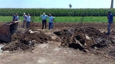 إزالة 9 حالات تعدي على الأراضى الزراعية بمساحة 1287متر مربع خلال العيد بالمنوفية (صور)