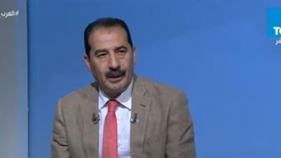 عدلي سعداوي: الملف السوداني في صلب اهتمام القيادة السياسية