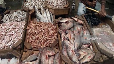إستقرار بأسعار السمك اليوم .. و