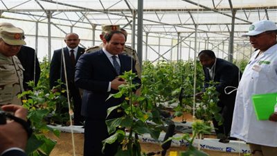 كل ما تود معرفته عن مشروع 