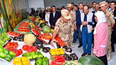 أستاذ بمركز بحوث الصحراء: 