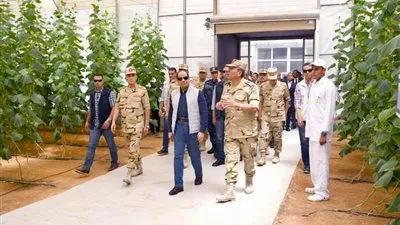 أستاذ بحوث الصحراء: 