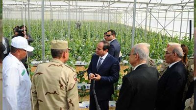 أستاذ زراعة عضوية: افتتاح مشروع الصوب يفتح آفاق المستقبل بالمجال الزراعي في مصر