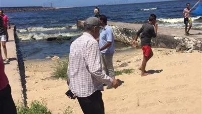الديدان تغزو شاطئ بالإسكندرية.. ولجنة عاجلة لبحث الأمر (فيديو)