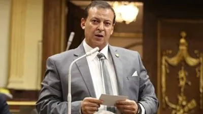 برلماني: الدولة مهتمة بتطوير الصناعة الوطنية وزيادة الاستثمارات الأجنبية