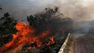 الرئيس البرازيلي متهما المنظمات الأهلية: 