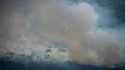 ترامب يناقش حرائق الأمازون مع الزعيم البرازيلي 