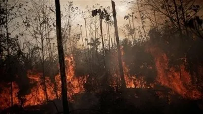 البرازيل تستعين بالجيش في 