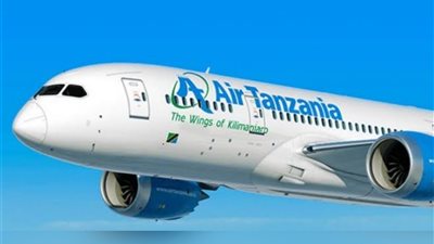 مسؤول: محكمة جنوب إفريقيا تحتجز طائرة طيران تنزانيا في جوهانسبرج