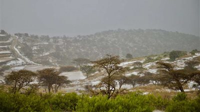 هطول أمطار رعدية بمكة والمدينة وجازان