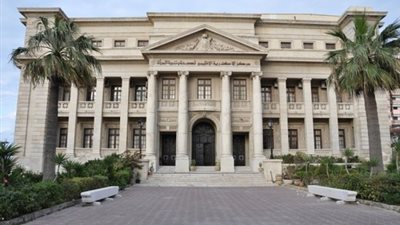 غدًا.. الإسكندرية تحتفل باليوم العالمي لـ