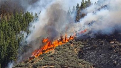 الرياح تُساعد في اشتعال النيران.. ماذا تعرف عن حرائق جزر