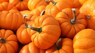 اكتشفي فوائد اليقطين المذهلة 