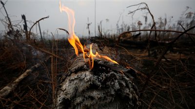 الحكومة البرازيلية ترفض مساعدات مجموعة السبع لمكافحة حرائق الأمازون