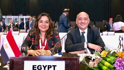 تلقي ٣٣١٩ طلب لتقنين أراضي الدولة بدمياط