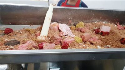 غلق 6 منشآت غذائية غير مرخصة وإعدام 224 كيلو أغذية فاسدة بالشرقية