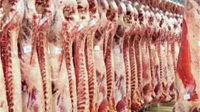  تعرف على شروط  قرض مشروع تربية الماشية لإنتاج اللحوم من قبل الجهاز تنمية المشروعات الصغيرة والمتوسطة