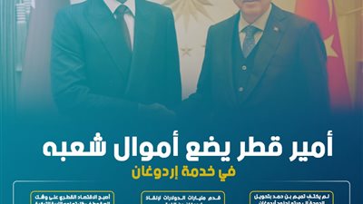 أمير قطر يضع أموال شعبه في خدمة إردوغان