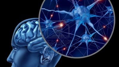 لذاكرة قوية.. تعرف على الأكلات والمشروبات المساعدة على الحفظ