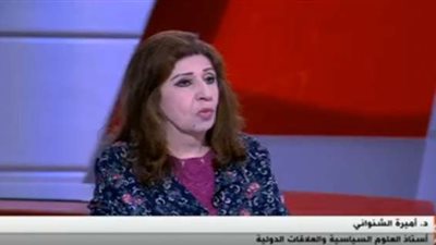 أستاذ علوم سياسية: قمة التيكاد تحول مهم في تاريخ العلاقات المصرية - اليابانية