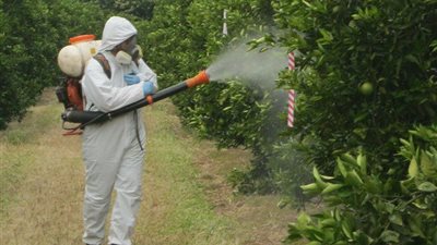 مهندس زراعي يكشف الطرق الصحيحة لتنظيف الفواكه والخضراوات من المبيدات