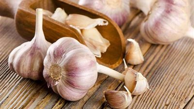 يعالج أمراض القلب وتصلب الشرايين .. اعرف فوائد تناول الثوم على الريق