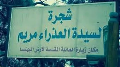 البهنسا فى المنيا.. هنا مقامات شهداء الجيش الإسلامي