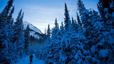 اندلاع حرب نووية سيؤدي إلي إغراق كوكب الأرض في الشتاء.. تعرف علي التفاصيل