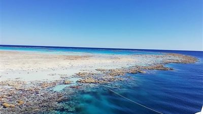 تعالج الصدفية وحب الشباب.. رمال سفاجا مركز للاستشفاء بالبحر الأحمر