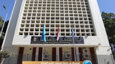 الأعلى للآثار: متحف طنطا تأسس 1913 وهو الأقدم إقليميا (فيديو)