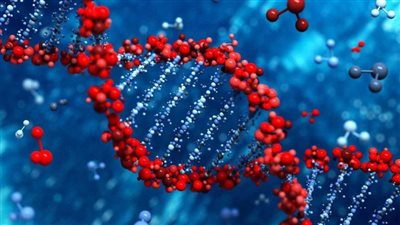 أطفال حسب الطلب.. علماء يبدأون تعديل الجينات الوراثية للأجنة