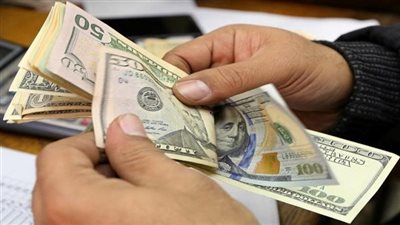 قرار إلغاء الدولار الجمركي.. هل يرفع أسعار السلع الأساسية؟