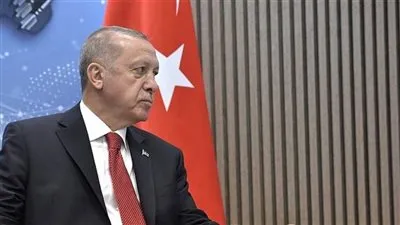 باحث: تكوين حركات جديدة بتركيا لكسر القبضة الديكتاتورية لأردوغان